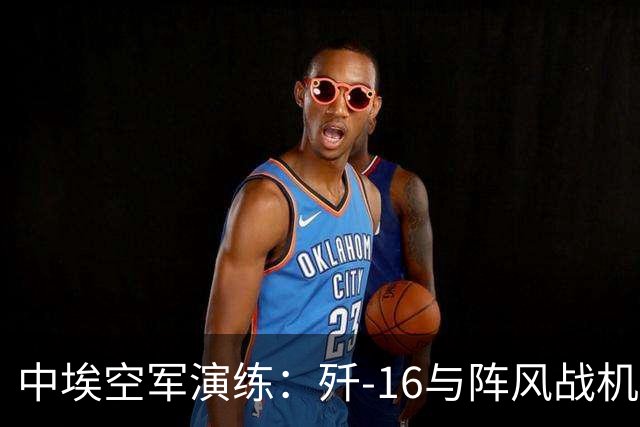 中埃空军演练：歼-16与阵风战机的实力较量