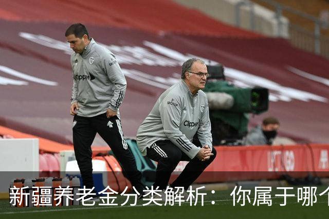 新疆养老金分类解析：你属于哪个档次？