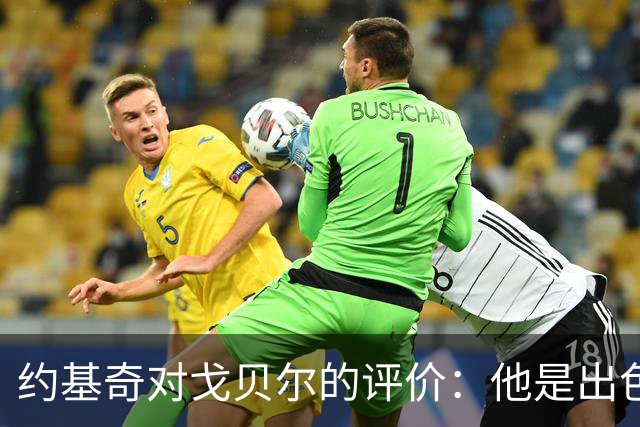 约基奇对戈贝尔的评价：他是出色的防守球员